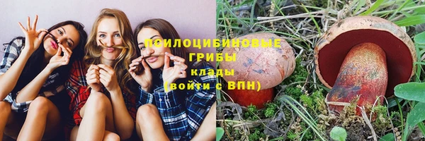 кокаин Алексеевка